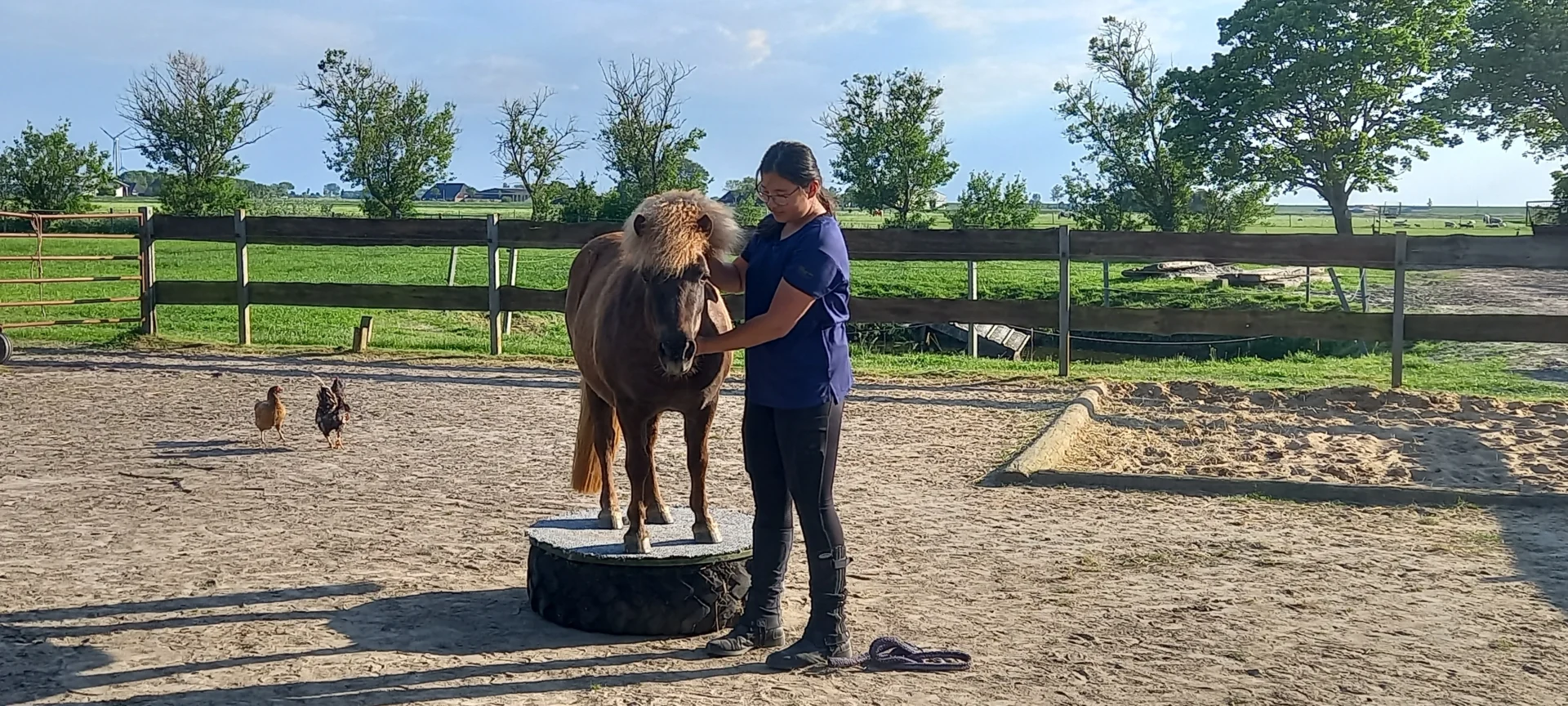 Eine Frau steht auf einem Sandplatz neben einem braunen Pony mit heller Mähne, das mit den Vorderhufen auf einem runden Podest balanciert. Im Hintergrund sieht man einen Holzzaun, grüne Wiesen, Bäume und zwei Hühner unter einem blauen Himmel.