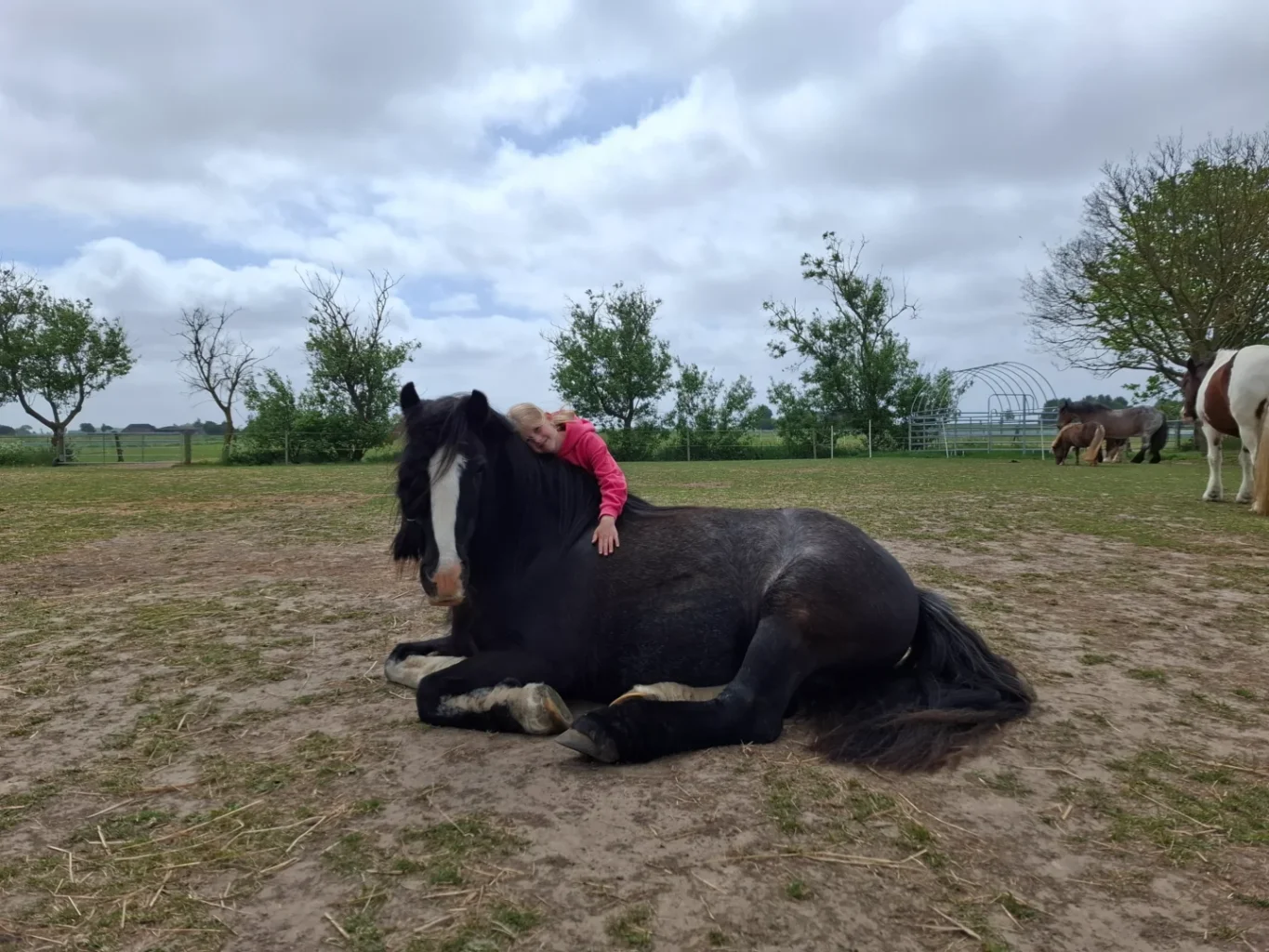 kleines Mädchen umarmt das liegende Pferd